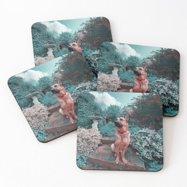 Item preview, Exploring Wonderland designed and sold by Vicki Spindler (VHS Photography).