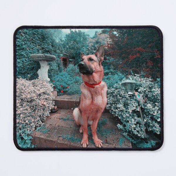 Item preview, Exploring Wonderland designed and sold by Vicki Spindler (VHS Photography).