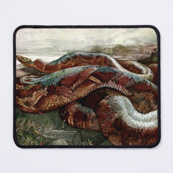 Item preview, Jungle Book - Kaa the Python - Detmold Brothers designed and sold by forgottenbeauty.