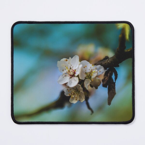 Item preview, White flower bloom branch  designed and sold by SabinasDesigns.