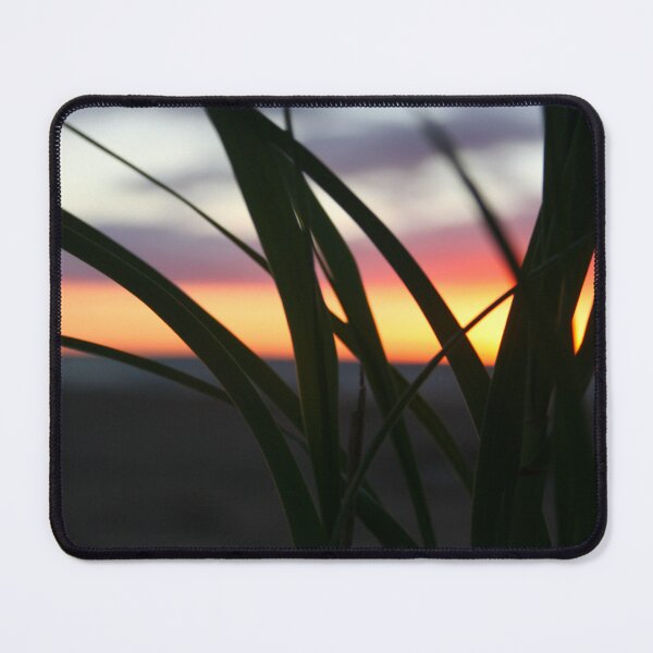 Item preview, Fotografía de hierba de dunas al atardecer - Arte designed and sold by jolabrese.