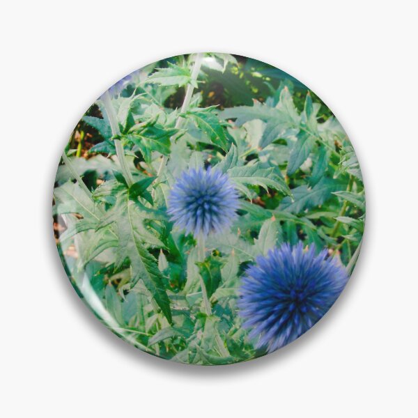 Item preview, Blue Alliums designed and sold by Shulie1.