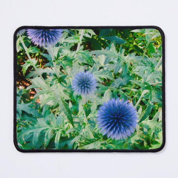 Item preview, Blue Alliums designed and sold by Shulie1.