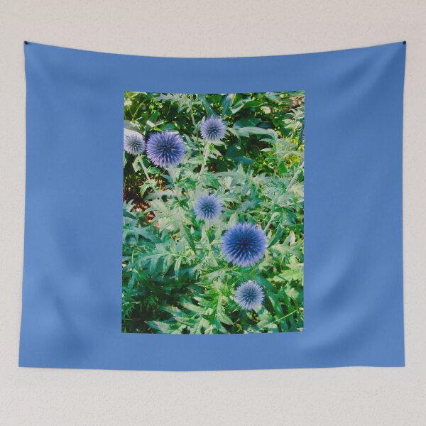 Item preview, Blue Alliums designed and sold by Shulie1.