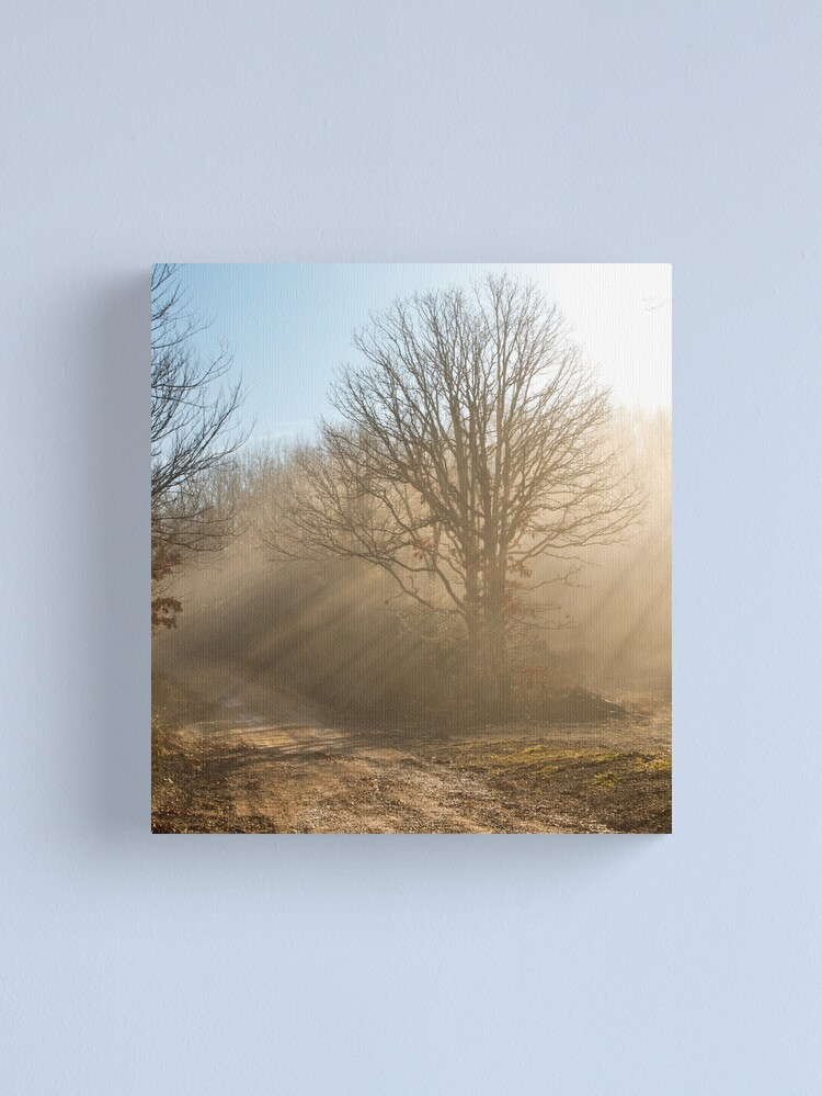 Thumbnail 1 of 3, Canvas Print, One Foggy Morning.... designed and sold by believer9.