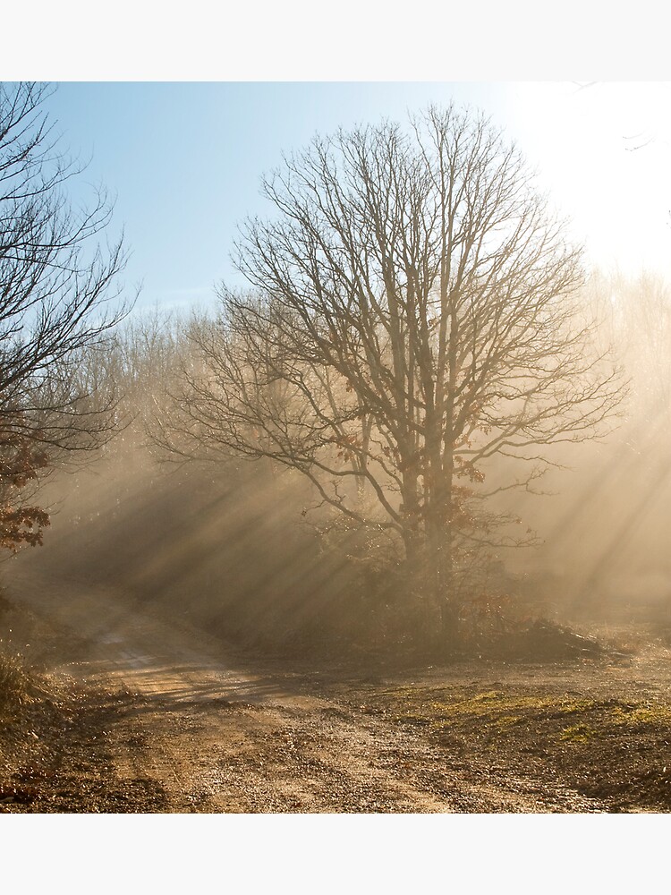 Thumbnail 3 of 3, Canvas Print, One Foggy Morning.... designed and sold by believer9.