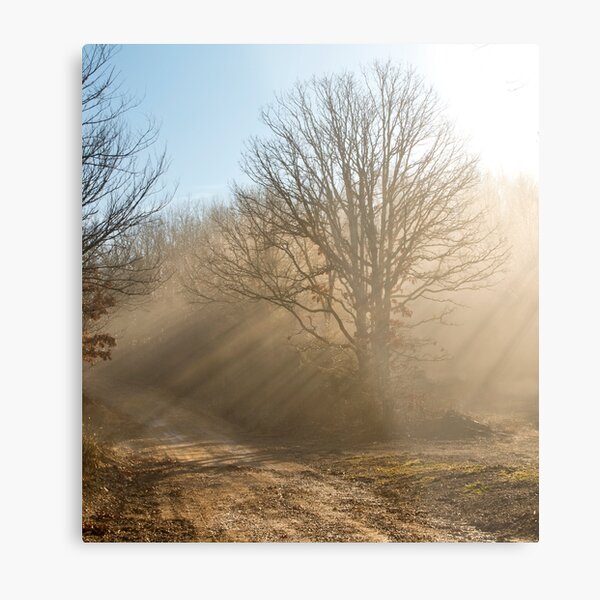 One Foggy Morning.... Metal Print
