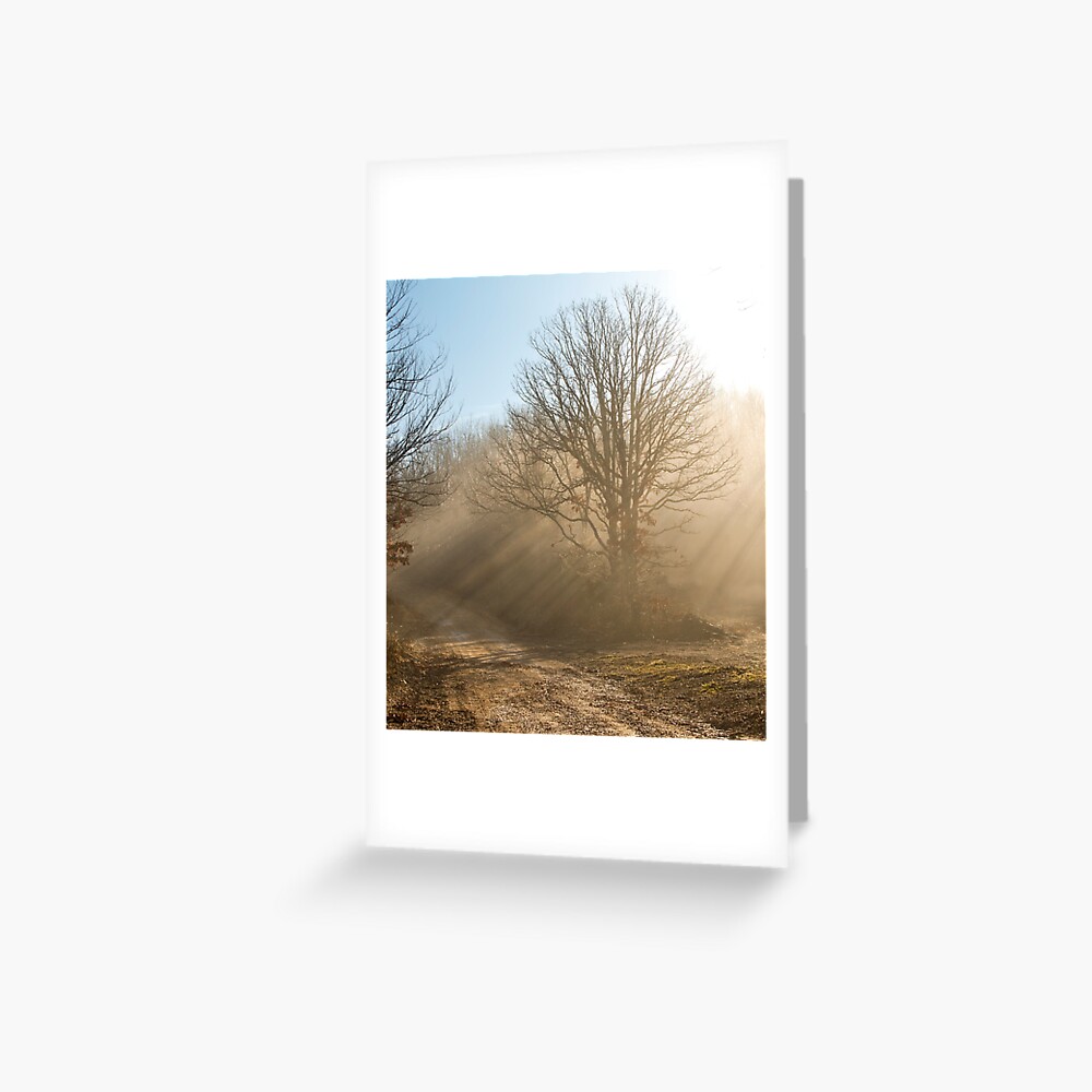 Item preview, Greeting Card designed and sold by believer9.