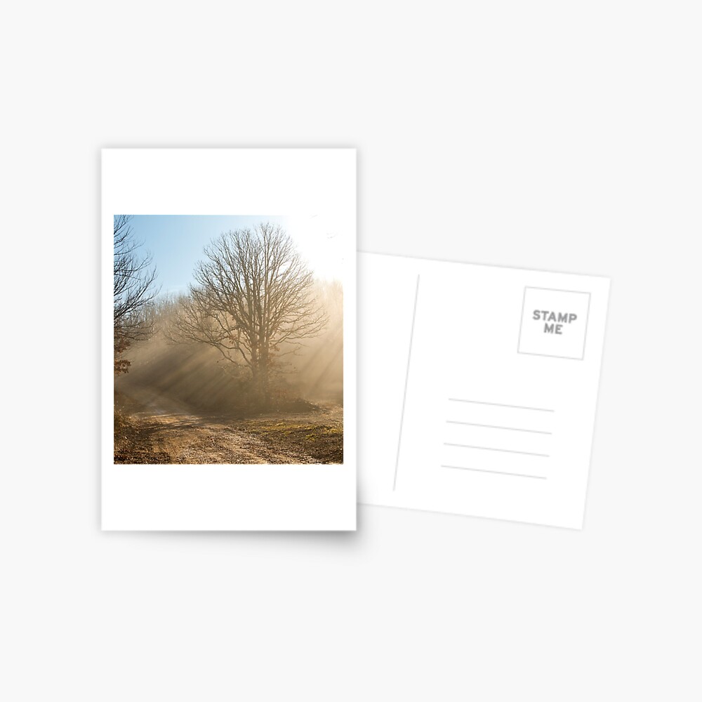 Item preview, Postcard designed and sold by believer9.