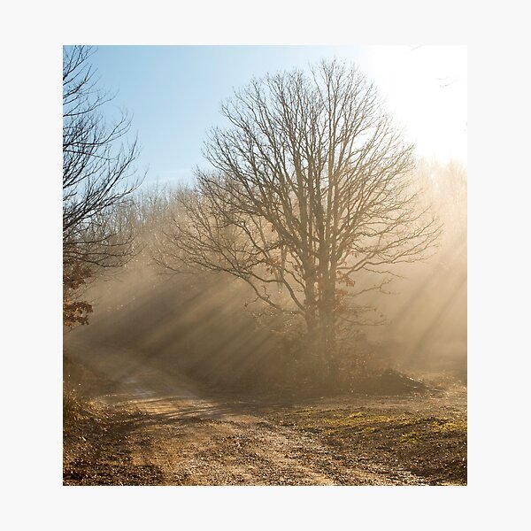 One Foggy Morning.... Photographic Print