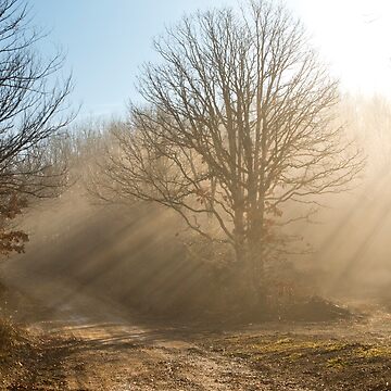Artwork thumbnail, One Foggy Morning.... by believer9