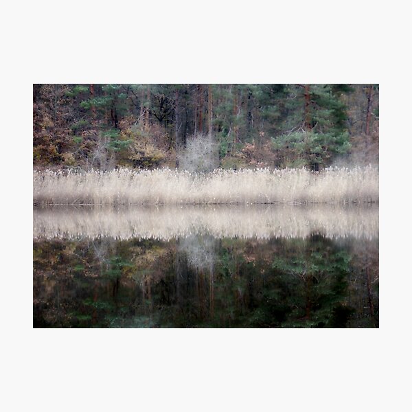 Item preview, Trees, reeds, reeds, trees designed and sold by rosedew.