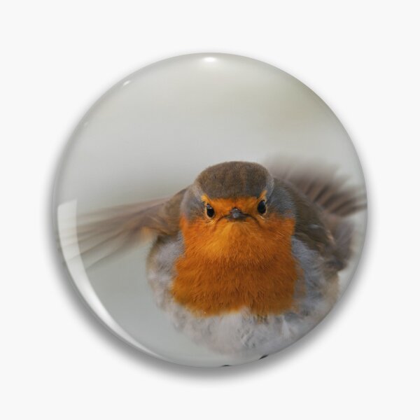 Item preview, Rockin Robin designed and sold by Mickey Rooney.