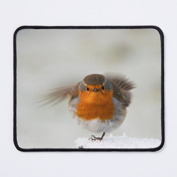 Item preview, Rockin Robin designed and sold by Mickey Rooney.