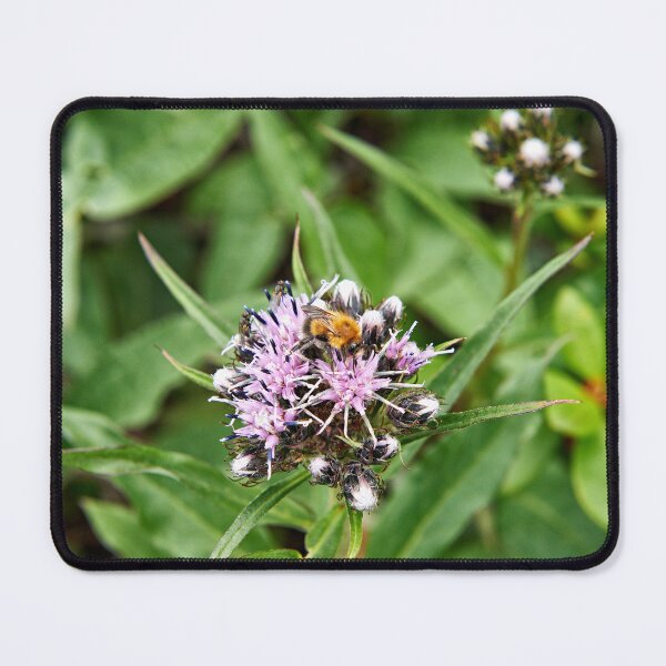 Item preview, "Шмель на работе" "Bumblebee at work" designed and sold by Andreas Koerner.