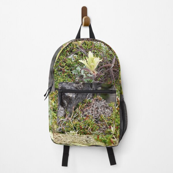 Item preview, "little beauties" designed and sold by Andreas Koerner.
