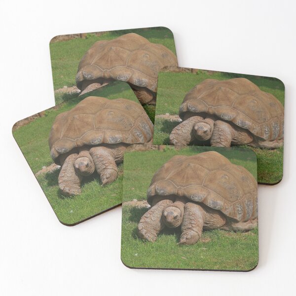 Item preview, Giant Tortoise designed and sold by lezvee.