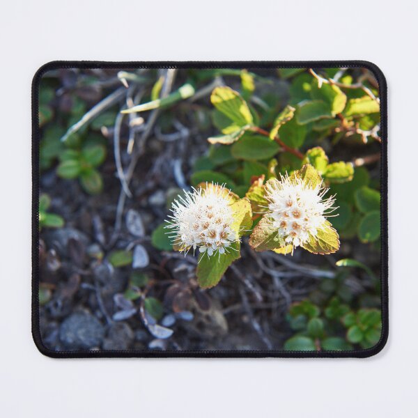 Item preview, "little beauties" designed and sold by Andreas Koerner.