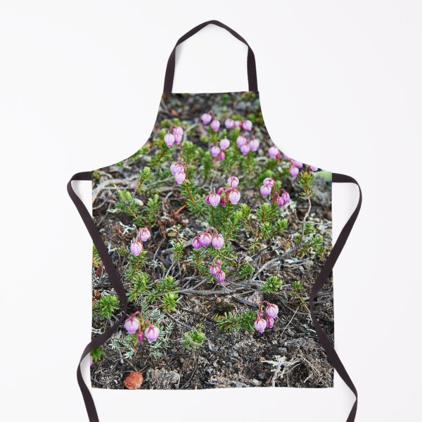 Item preview, "Филлодоце голубая" "Phyllodoce caerulea" designed and sold by Andreas Koerner.