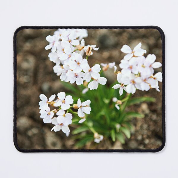 Item preview, "little beauty" designed and sold by Andreas Koerner.