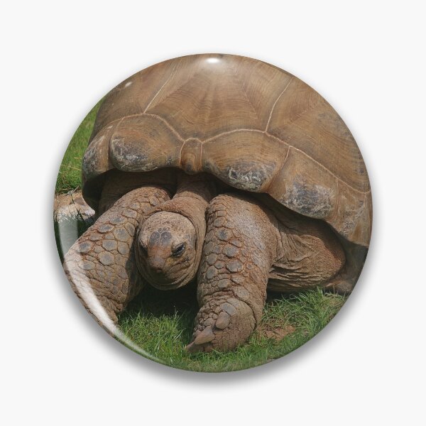 Item preview, Giant Tortoise designed and sold by lezvee.