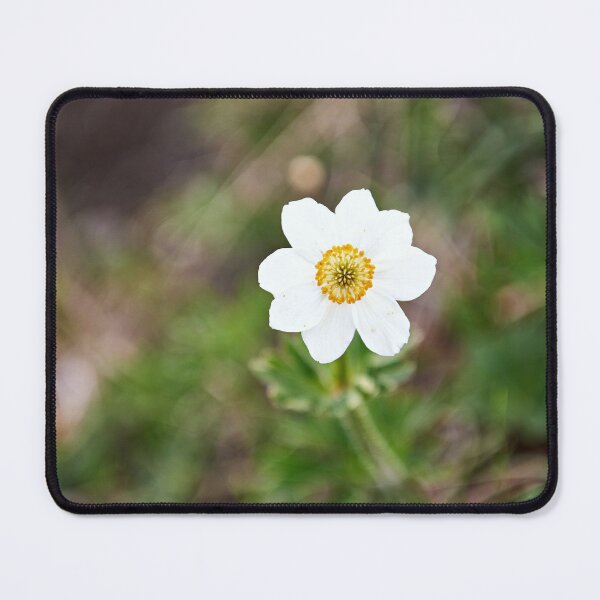 Item preview, "little beauty" designed and sold by Andreas Koerner.