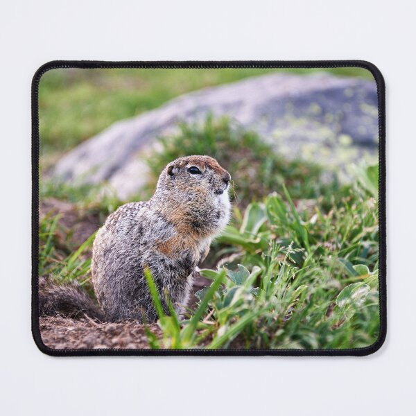 Item preview, "Арктический Суслик" "Arctic Ground Squirrel" designed and sold by Andreas Koerner.