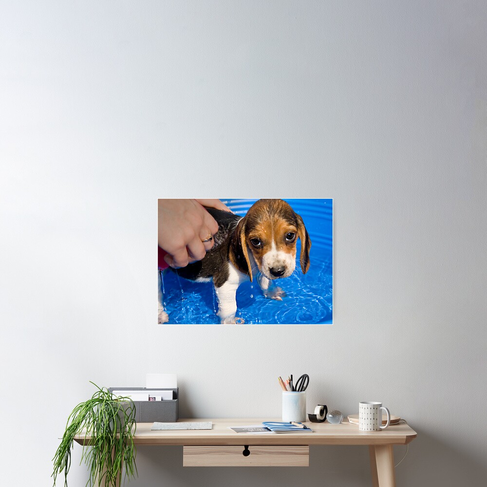 Item preview, Poster designed and sold by believer9.