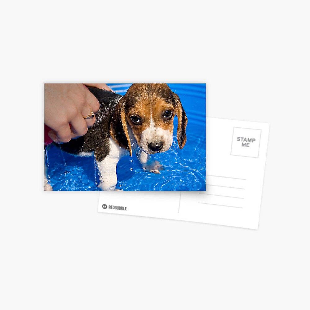 Item preview, Postcard designed and sold by believer9.