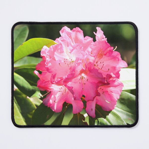 Item preview, Pretty Rhododendron designed and sold by croper.