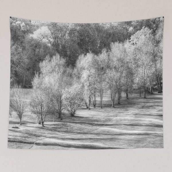 Item preview, Dartmoor Morning Frost Monochrome designed and sold by Londonimages.