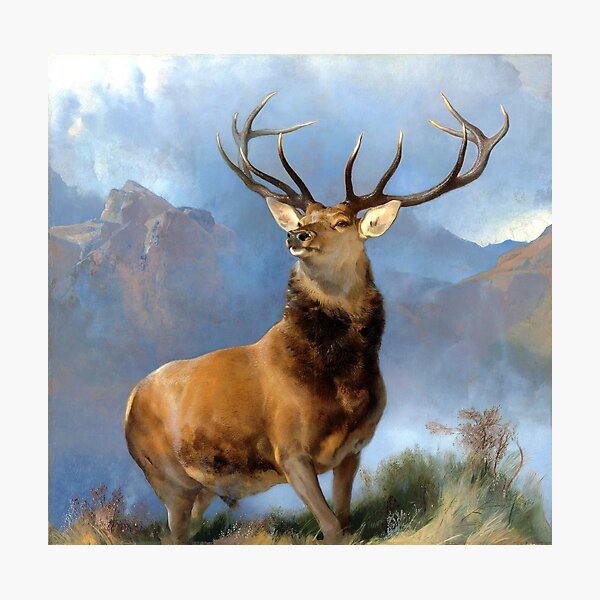 Monarch of the Glen Photographic Print