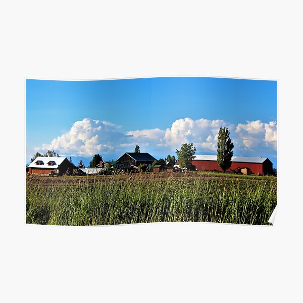 "Farm on Westham Island" Poster for Sale by Lesliebc Redbubble