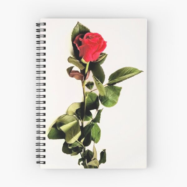 Item preview, One Rose designed and sold by Jasna Dragun.