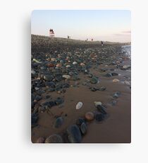 Lawrencetown Beach Canvas Print
