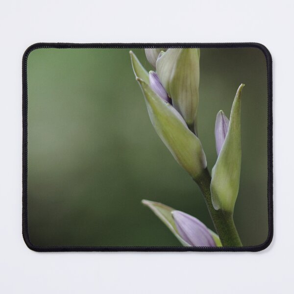 Item preview, Lavender Buds designed and sold by Debbie Oppermann.