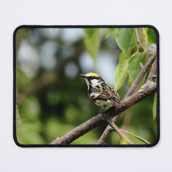 Item preview, Pleased To Meetcha designed and sold by Debbie Oppermann.