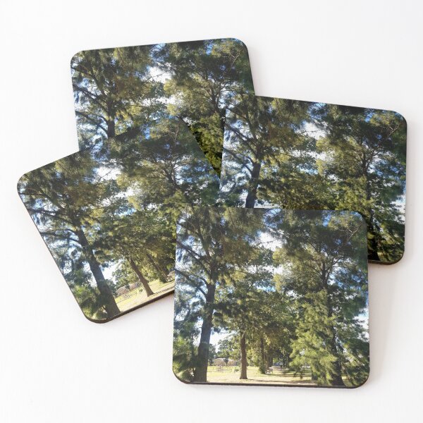 Item preview, A lane of pine trees designed and sold by Blissfully-MK.