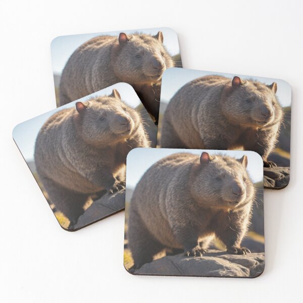 Item preview, Wombat designed and sold by PierreAlbijanic.