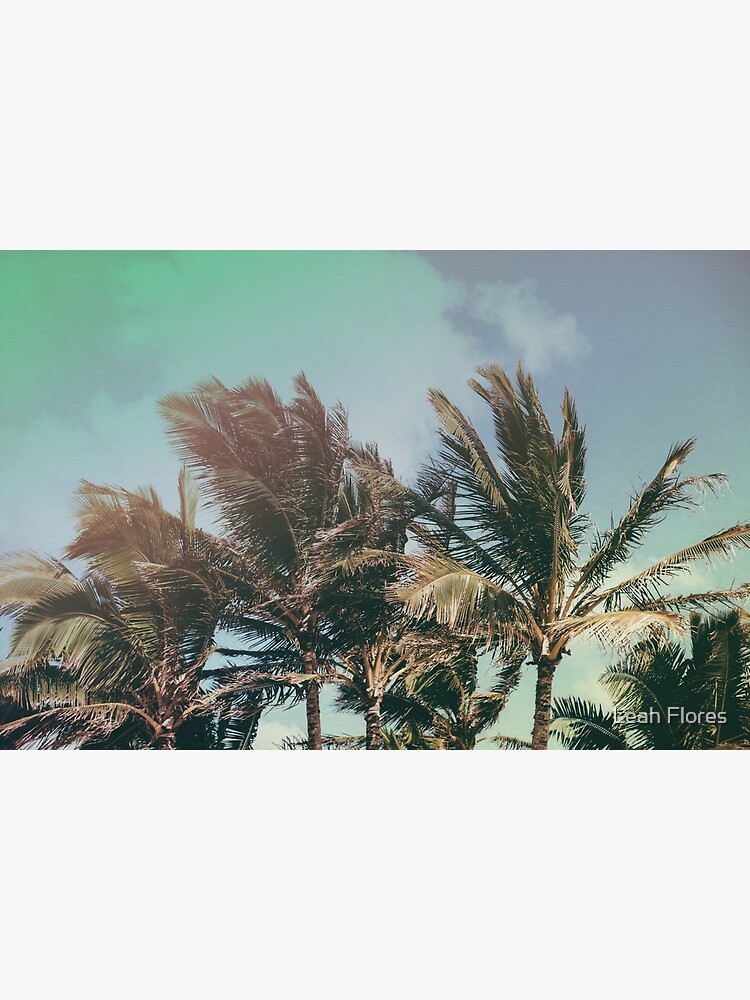 Vintage Palm Hawaii Summer Daze by adventurlings