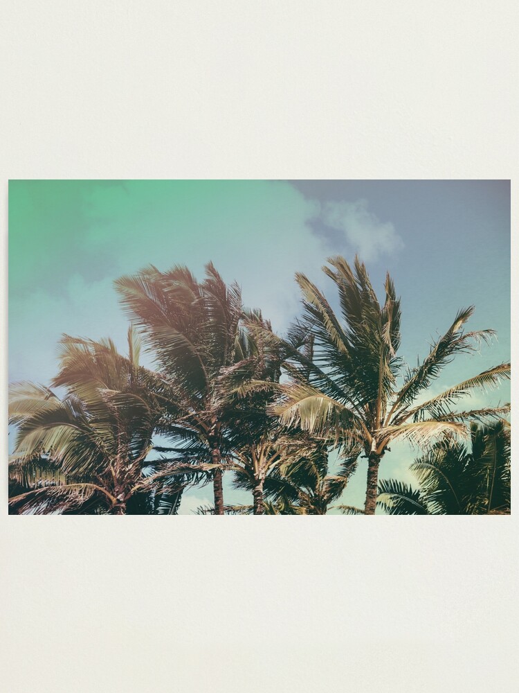Alternate view of Vintage Palm Hawaii Summer Daze Photographic Print