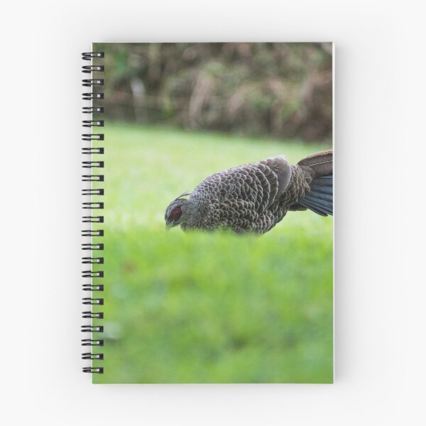 Item preview,  Ring-necked pheasant designed and sold by KensLensDesigns.