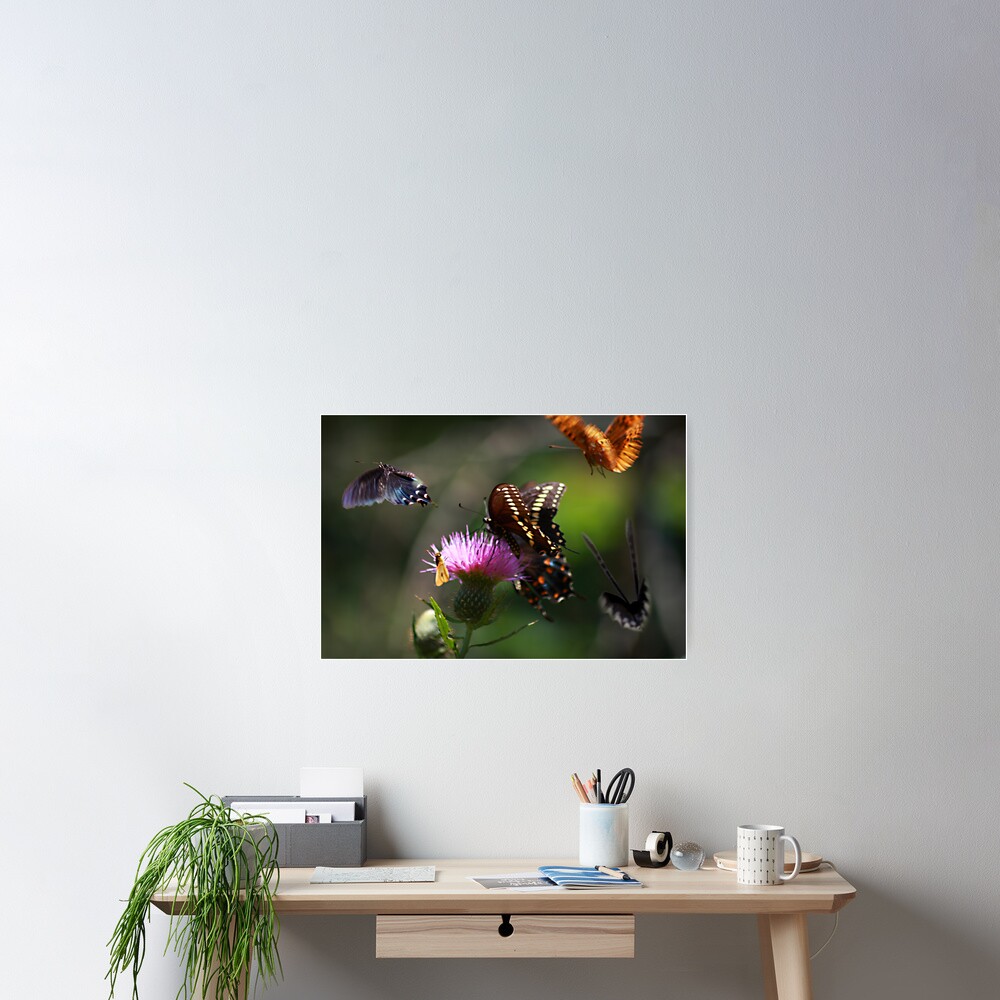 Item preview, Poster designed and sold by believer9.