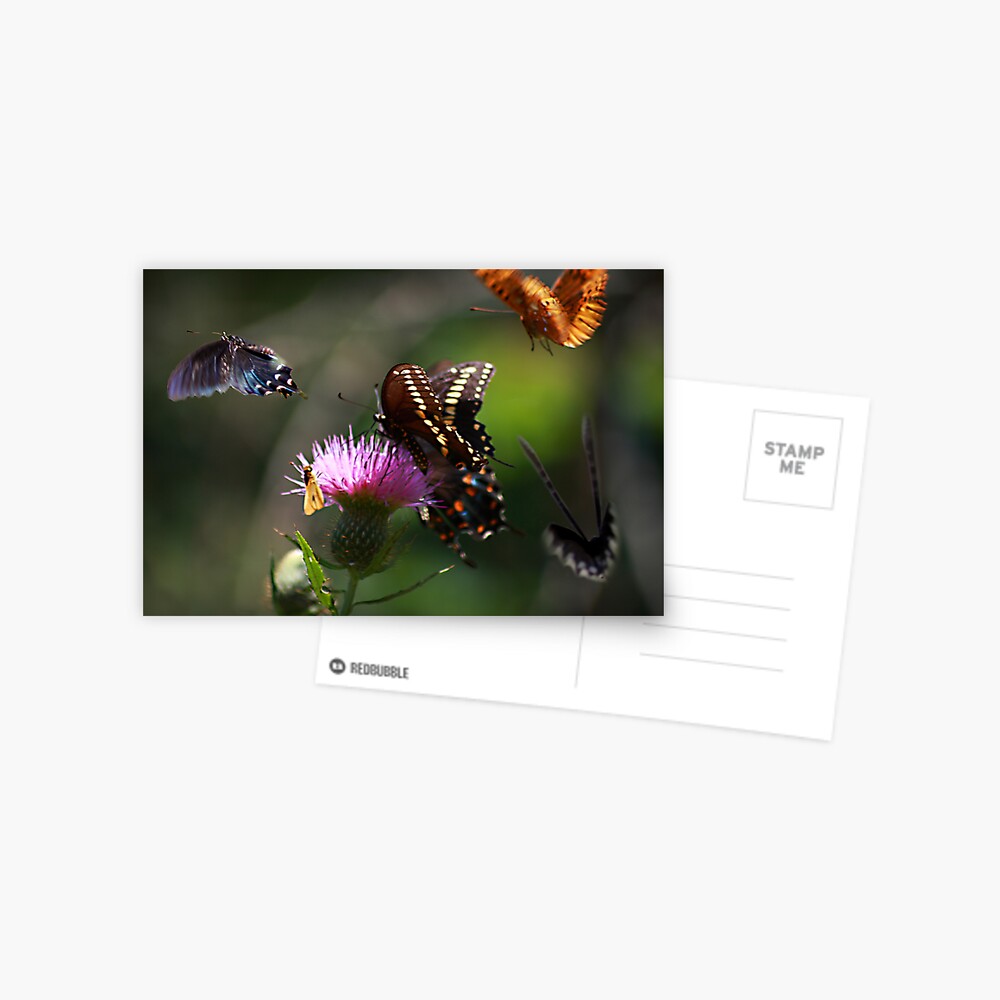 Item preview, Postcard designed and sold by believer9.