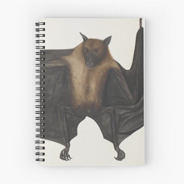 Item preview, Vintage Indian Fruit Bat Illustration (1782) designed and sold by BravuraMedia.