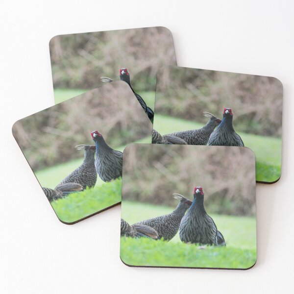 Item preview, ring necked pheasant 3 +3 designed and sold by KensLensDesigns.