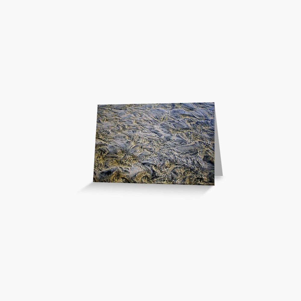Ripples Greeting Card