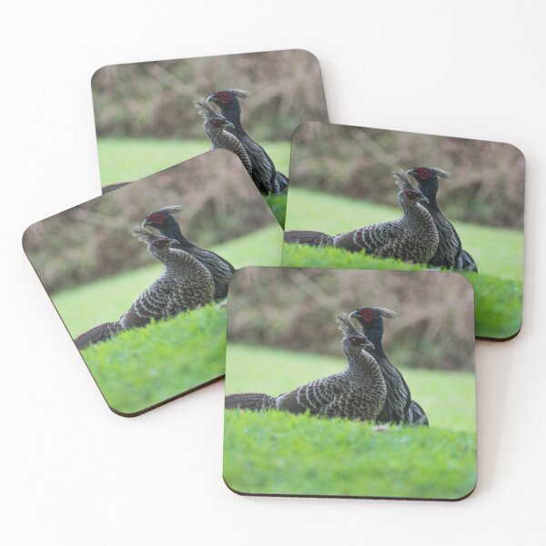 Item preview,  ring necked pheasant 4+2 designed and sold by KensLensDesigns.