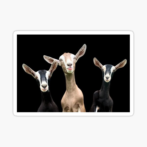 Item preview, Three mischievous goats designed and sold by CritterCapers.