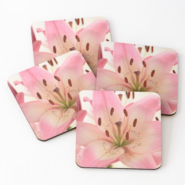 Item preview, Lilium  'Rosella's Dream'  Asiatic lily   designed and sold by Chris Burrows.